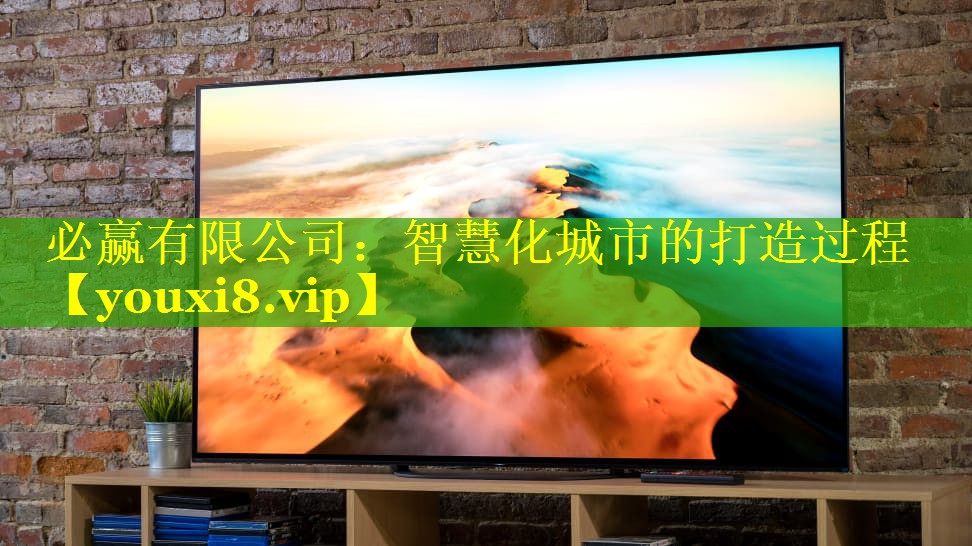 必赢有限公司：智慧化城市的打造过程