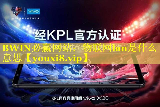 BWIN必赢网站：物联网lan是什么意思