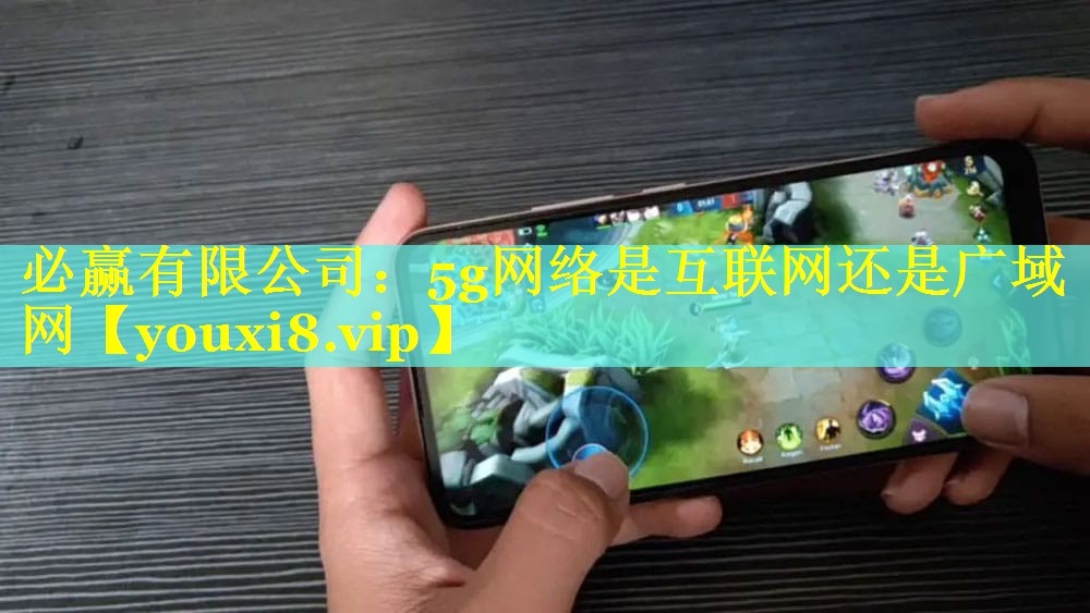 必赢有限公司：5g网络是互联网还是广域网