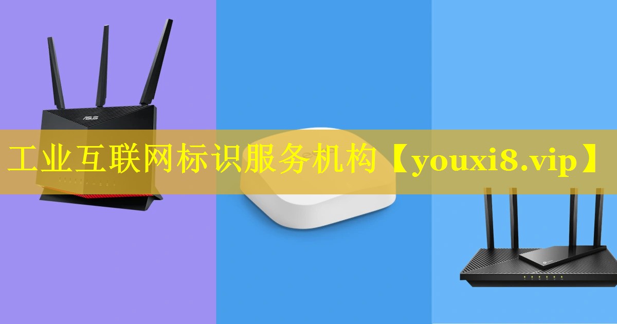 工业互联网标识服务机构